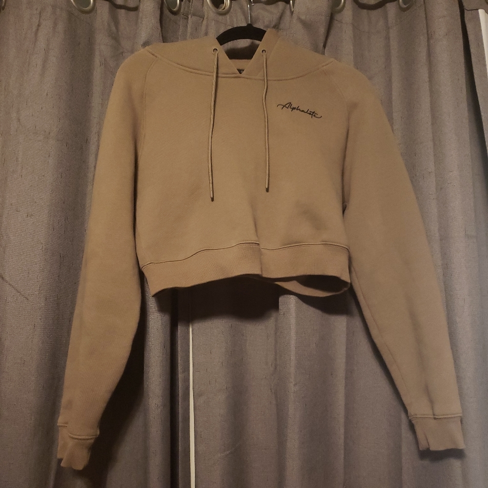 Alphalete Cropped Hoodie